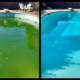 limpiezas y mantenimientos de piscinas en mairena del Aljarafe
